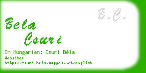 bela csuri business card