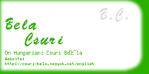 bela csuri business card